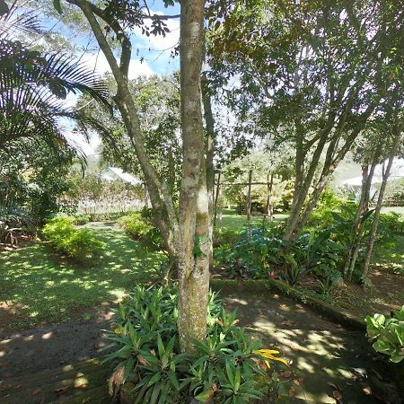 Tribu Ecohostal Los Santos  Luaran gambar