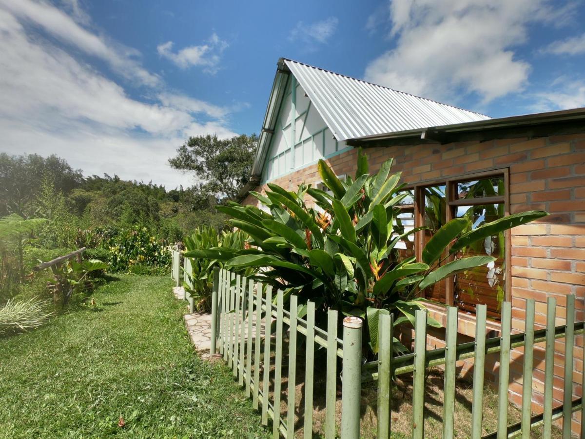 Tribu Ecohostal Los Santos  Luaran gambar