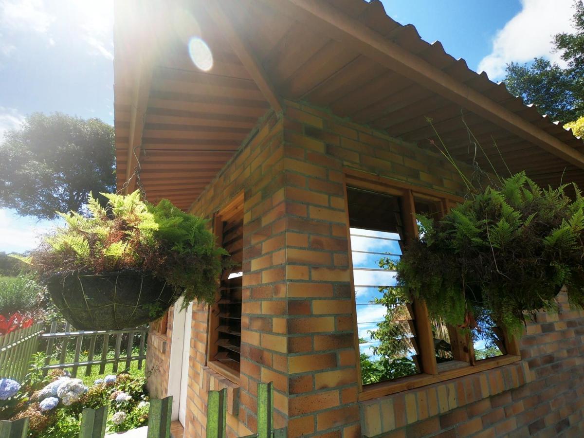 Tribu Ecohostal Los Santos  Luaran gambar