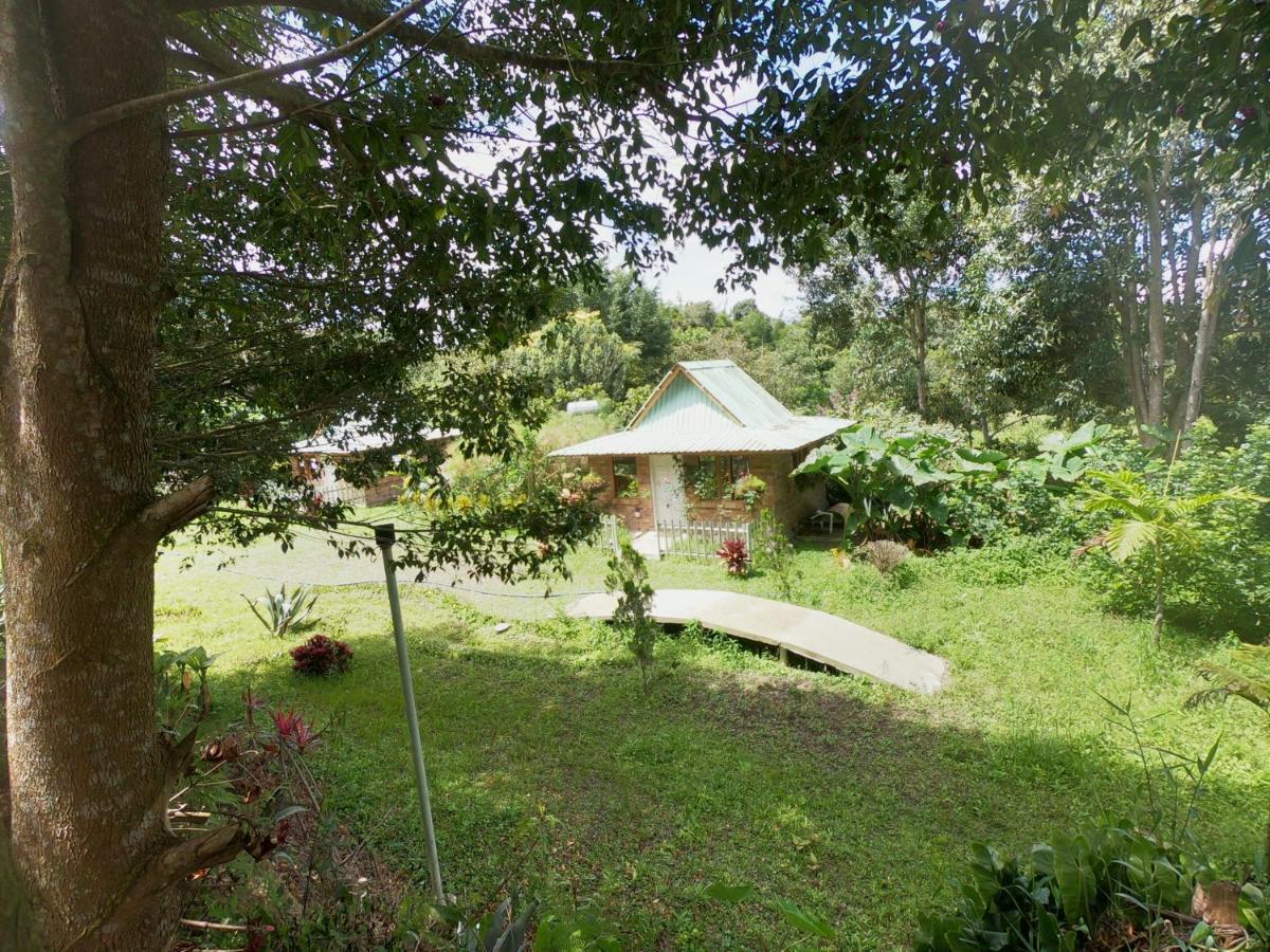 Tribu Ecohostal Los Santos  Luaran gambar