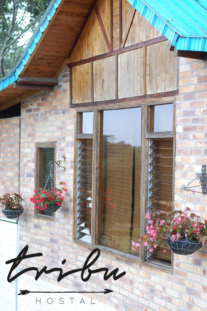 Tribu Ecohostal Los Santos  Luaran gambar