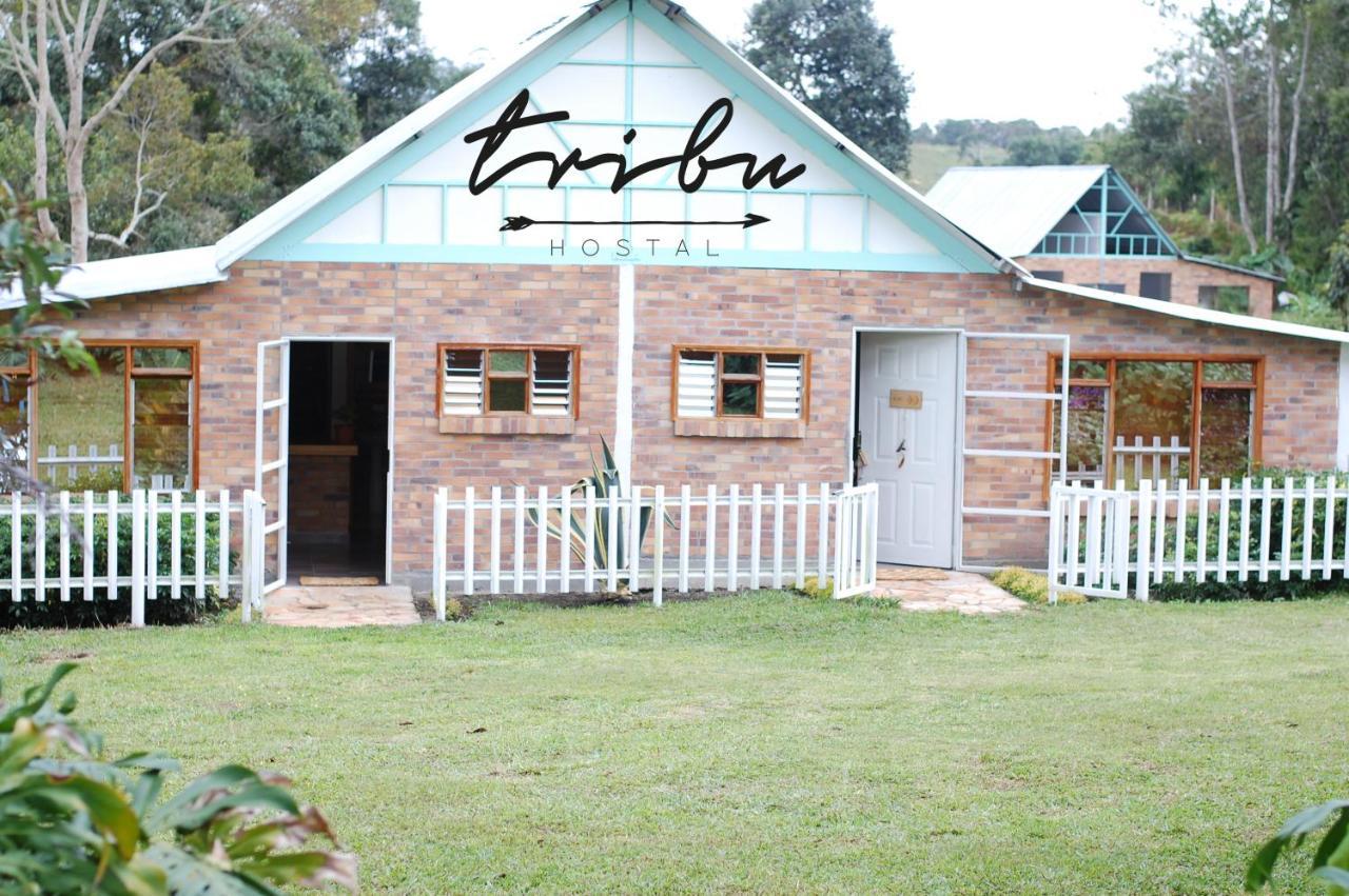 Tribu Ecohostal Los Santos  Luaran gambar