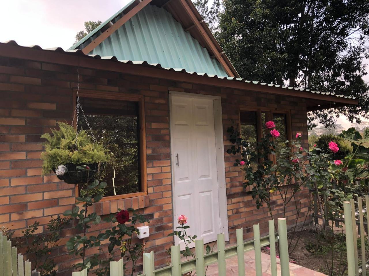 Tribu Ecohostal Los Santos  Luaran gambar